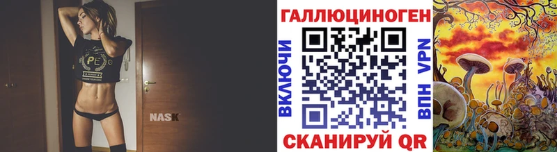 blacksprut зеркало  Звенигород  Псилоцибиновые грибы мицелий 